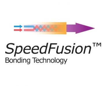 PepVPN/SpeedFusion 20 Peers License Upgrade