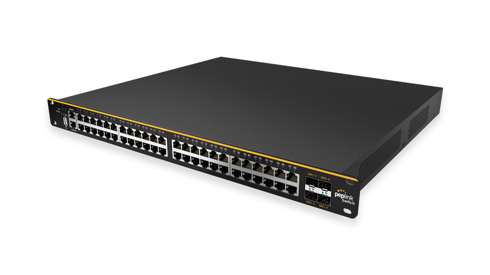 1-Year Extended Warranty for Peplink Switch (48 Port)